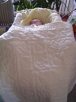 b0075888_2371489.jpg