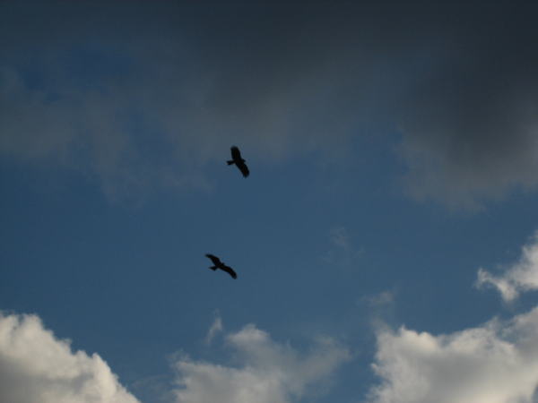 a0050192_9145434.jpg