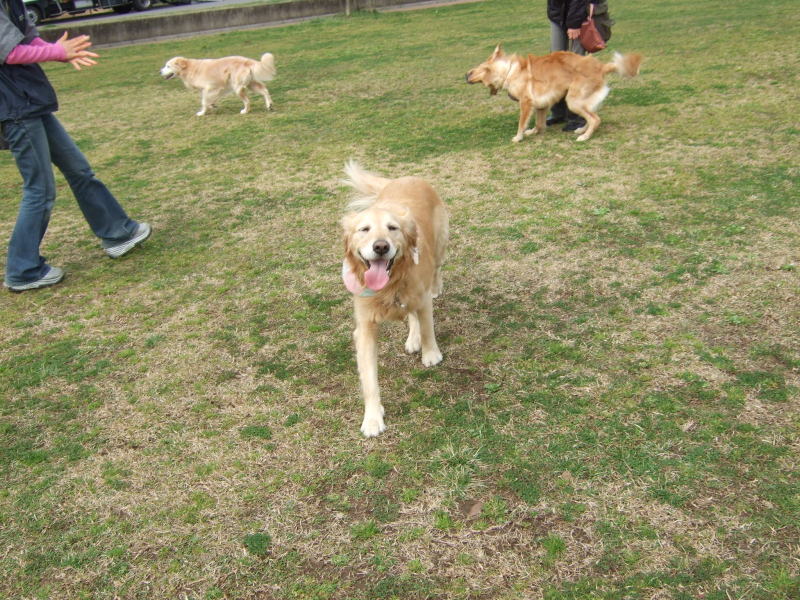 c0104492_0383317.jpg