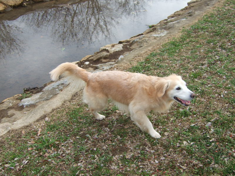 c0104492_0414315.jpg