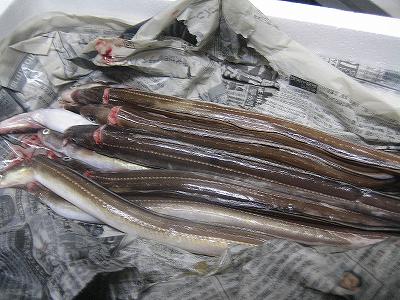 f0117892_23202710.jpg