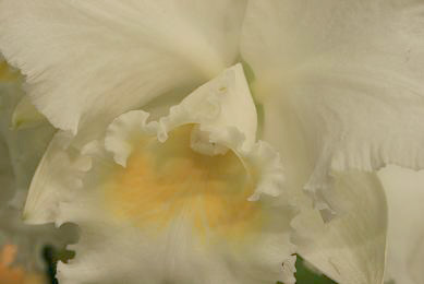 d0025894_1391243.jpg