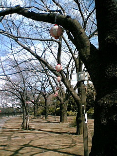 c0044199_16441143.jpg