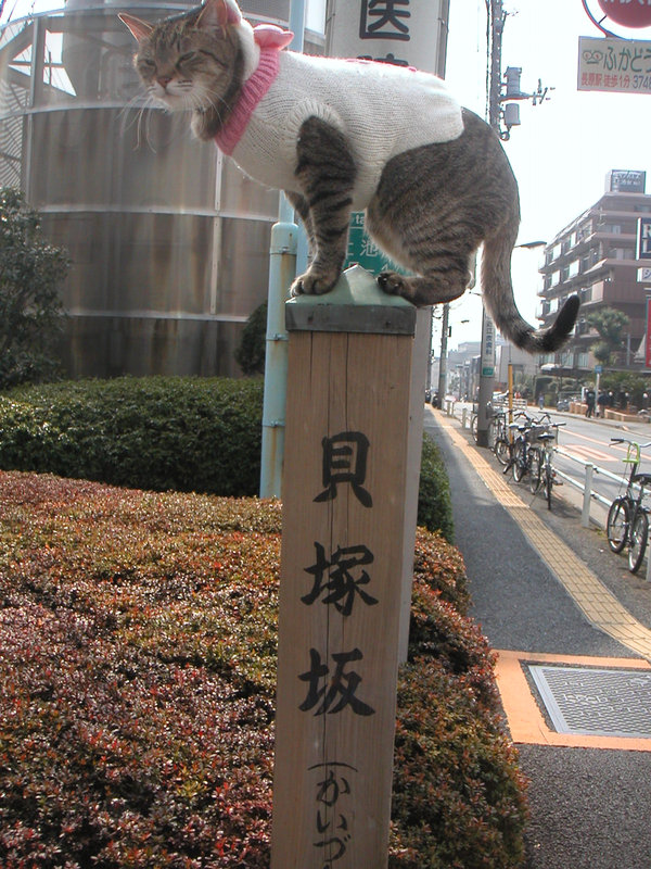 e0031605_7471297.jpg