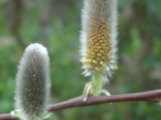 b0061107_19151328.jpg