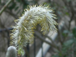 b0061107_19152689.jpg
