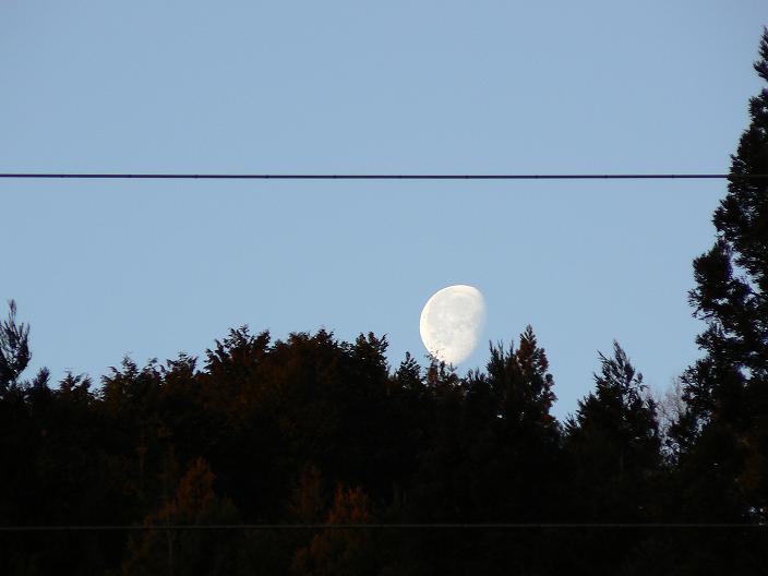 c0086014_2145232.jpg