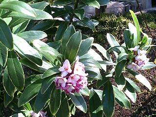 e0026017_11341171.jpg