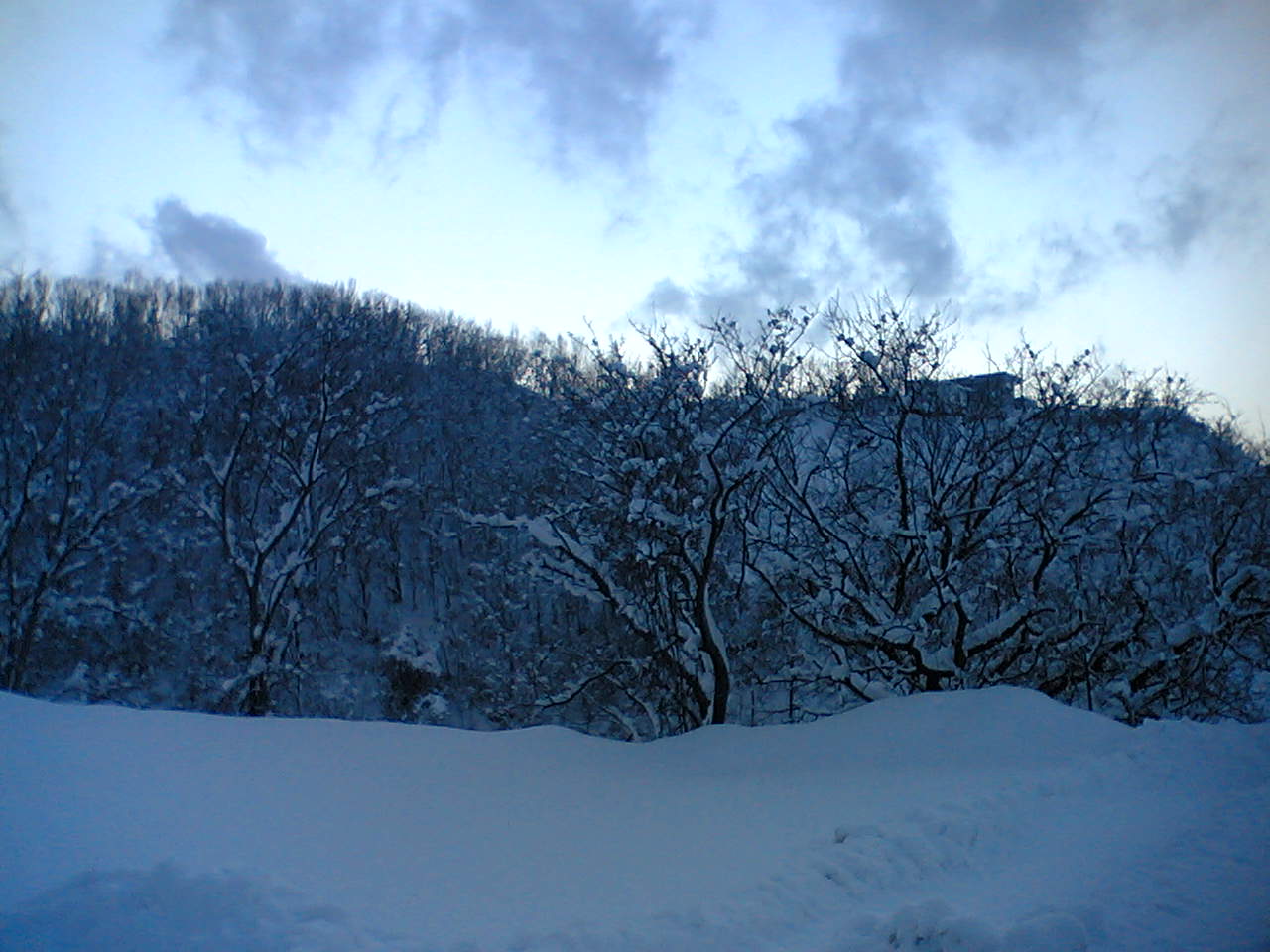 e0063317_11241749.jpg