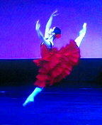 c0049919_2350280.jpg