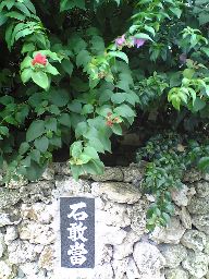f0107724_13153924.jpg