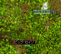 e0004726_9372238.jpg