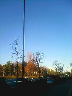 f0124526_1454738.jpg