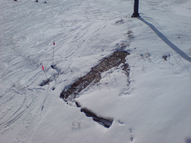 c0054838_151318.jpg