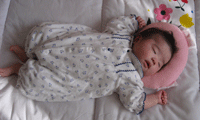 f0047439_12195166.gif
