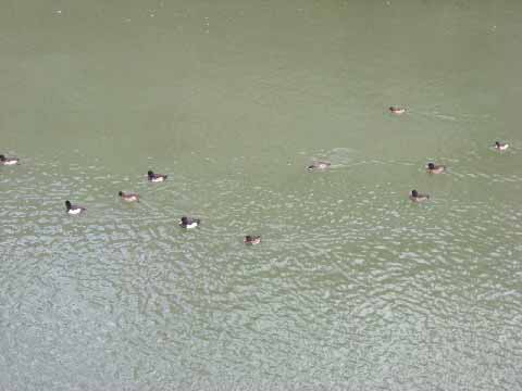 b0019140_13481972.jpg
