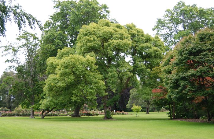 e0098241_111546.jpg