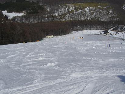 f0065941_132513.jpg