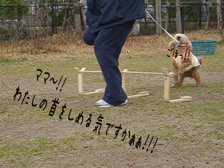 c0115145_22564996.jpg