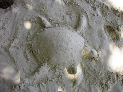 e0027447_113655100.jpg