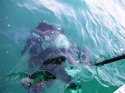 e0027447_2150467.jpg