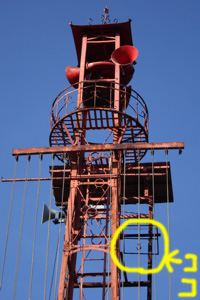 e0009049_1804843.jpg