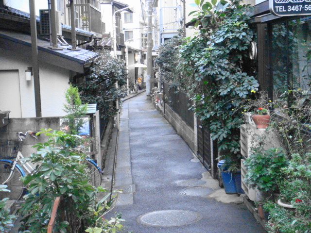 a0050957_15231411.jpg