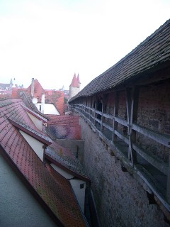 d0005157_2445628.jpg
