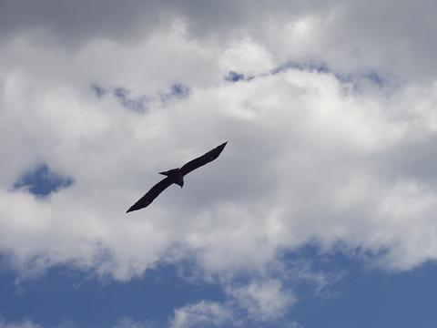 d0008157_23541674.jpg