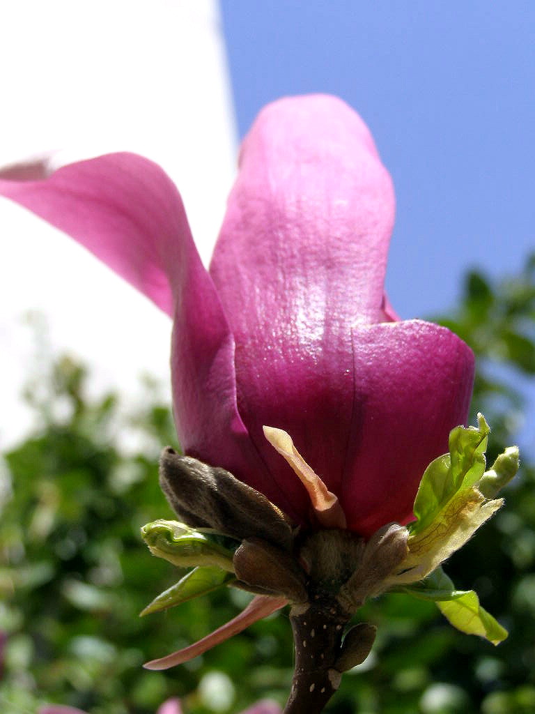 e0064158_229328.jpg