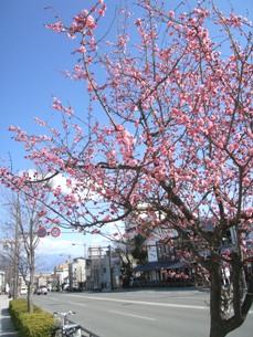 f0055358_22301570.jpg