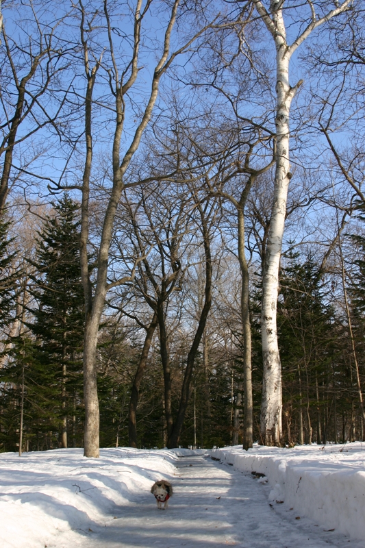 a0016775_2213780.jpg