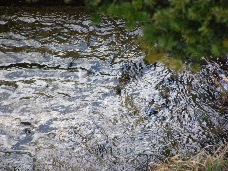 f0075075_23392854.jpg