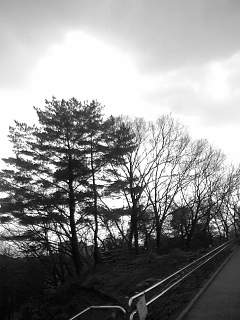 f0100480_1026538.jpg