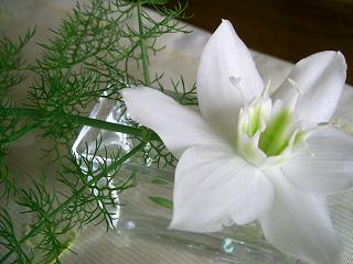 c0073987_2013267.jpg