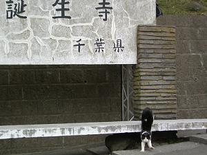 f0069890_204751.jpg