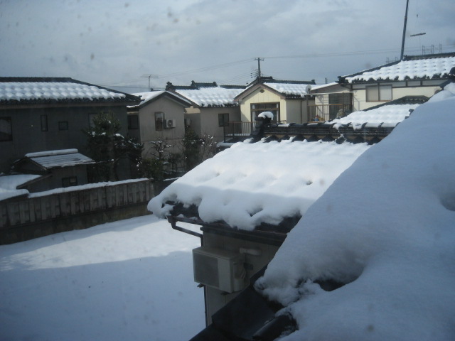 f0047693_1165490.jpg