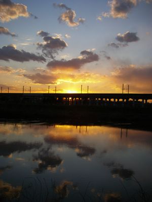 d0045295_23592690.jpg