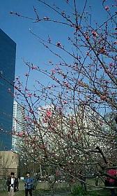 b0036608_1656552.jpg