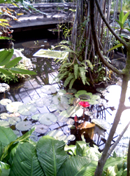 a0052011_631451.jpg