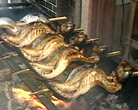 f0017712_0302619.jpg