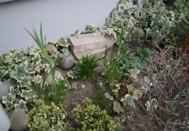 e0102713_21291771.jpg