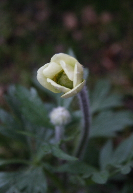 e0102713_21293921.jpg
