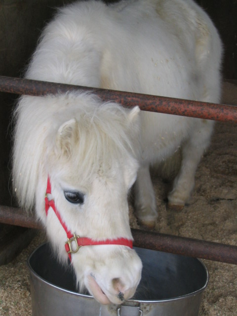 c0086230_224218.jpg
