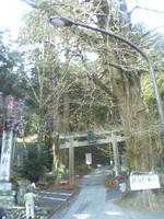 d0107938_21223930.jpg