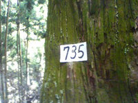 d0107938_21263837.jpg