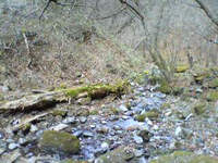 d0107938_21333069.jpg