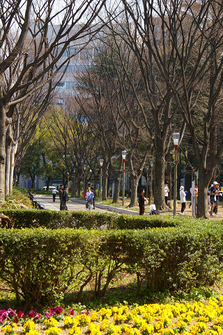 f0094045_1943839.jpg