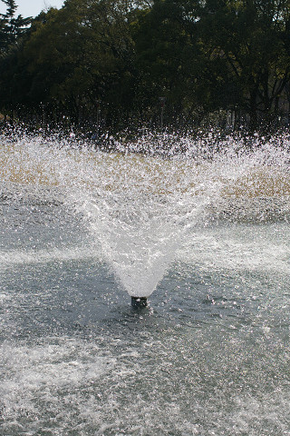 f0094045_1946638.jpg