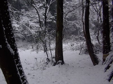 a0009666_8354546.jpg